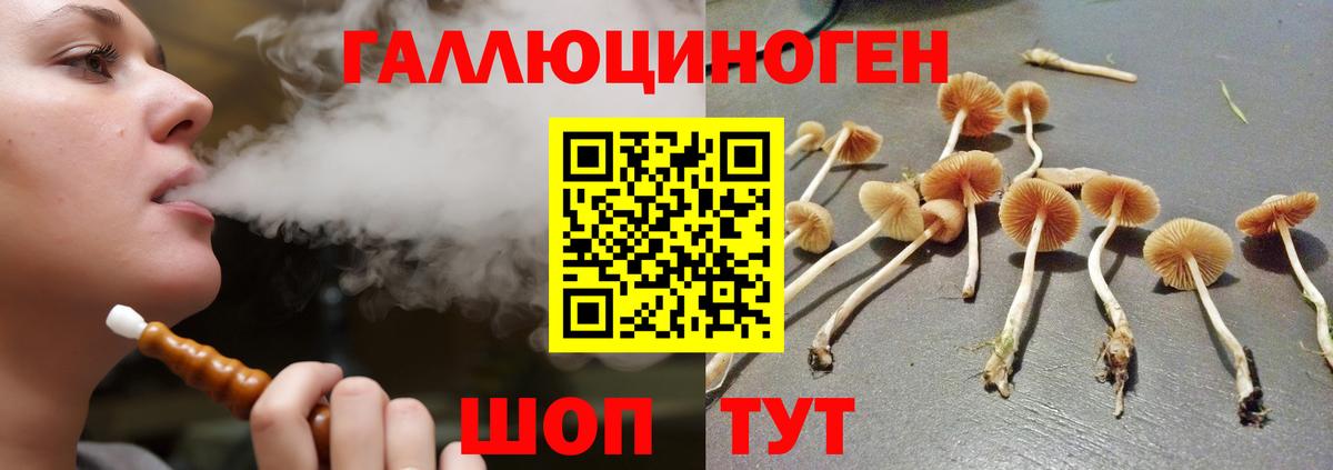 Галлюциногенные грибы GOLDEN TEACHER Орёл